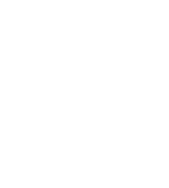 VoidOnyx